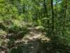 pxl_20250517_182417031_small.jpg