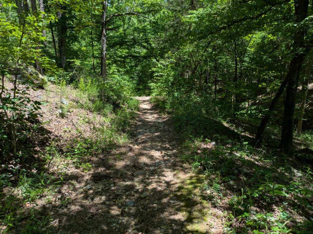 pxl_20250517_182707098.jpg