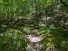 pxl_20250517_182802367_small.jpg