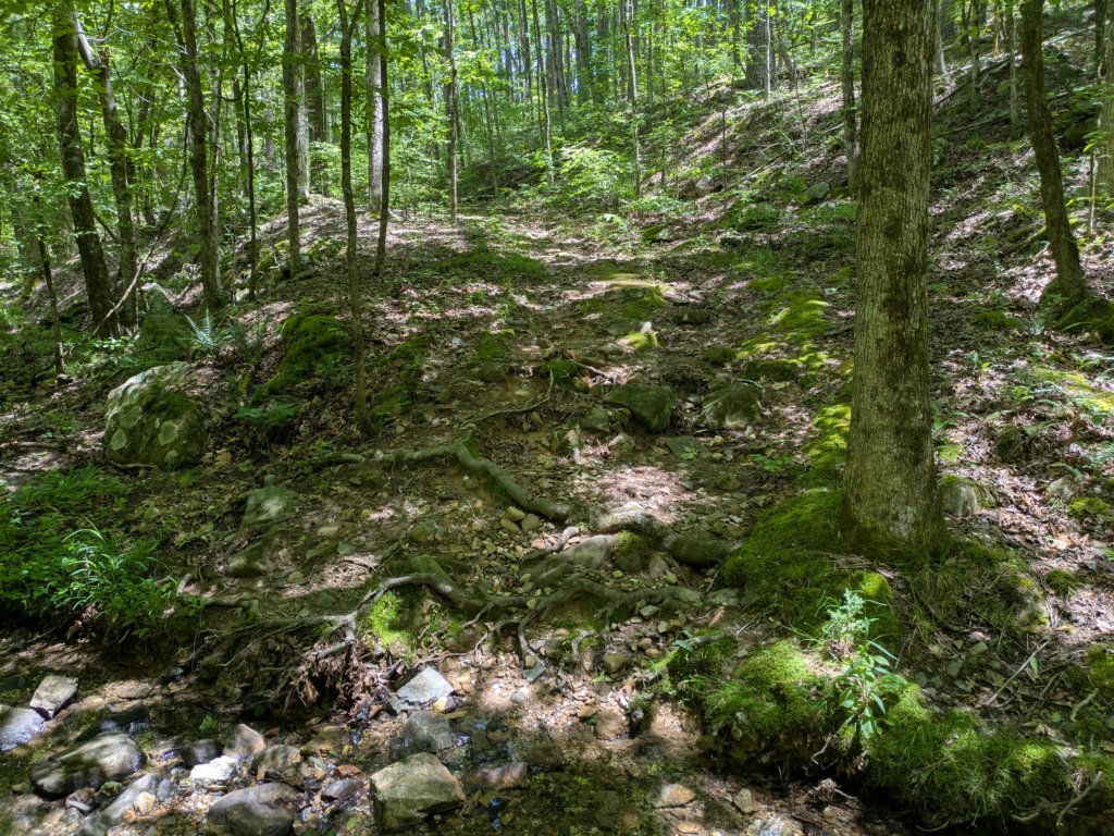 pxl_20250517_182816578.jpg