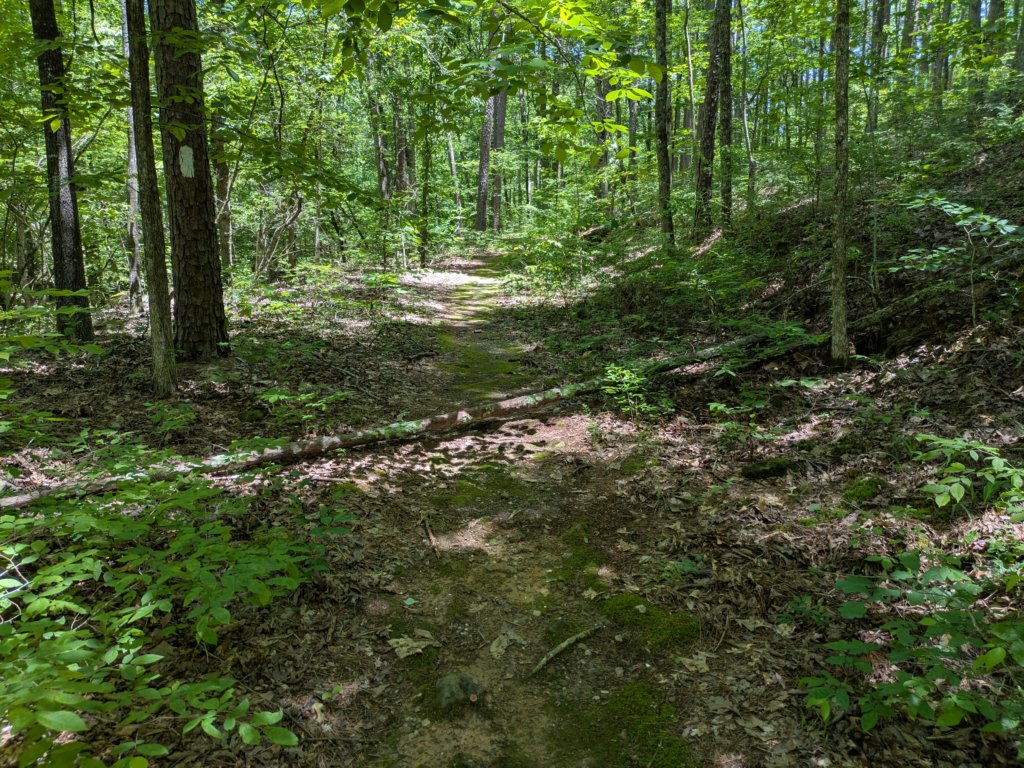 pxl_20250517_182840316.jpg
