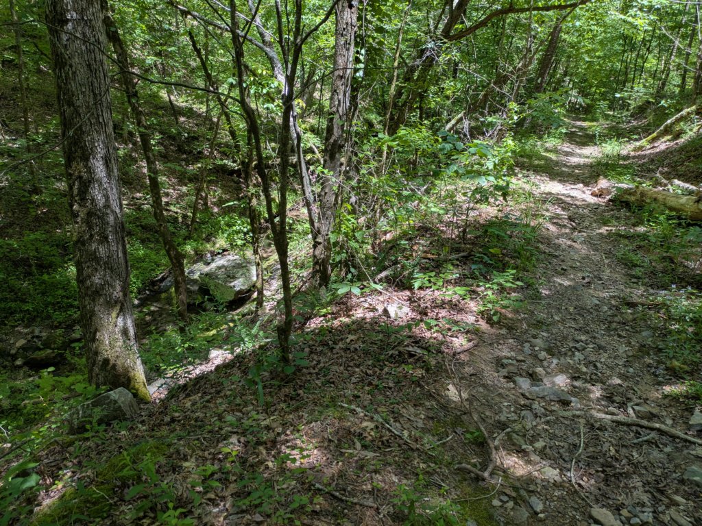 pxl_20250517_183240631.jpg