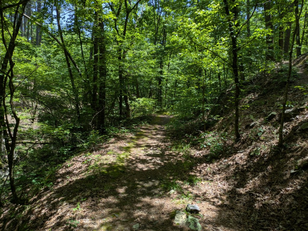 pxl_20250517_183349069.jpg