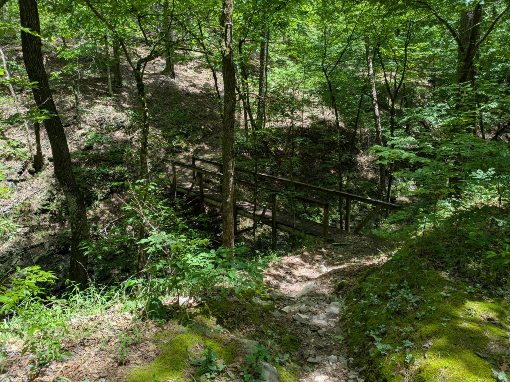 pxl_20250517_183409286.jpg