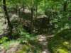 pxl_20250517_183409286_small.jpg