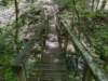 pxl_20250517_183427111_small.jpg