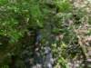 pxl_20250517_183451728_small.jpg