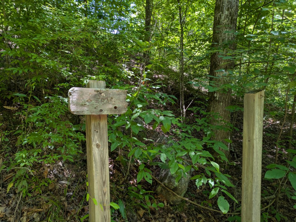 pxl_20250517_183541279.jpg