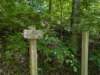 pxl_20250517_183541279_small.jpg