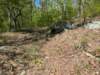 pxl_20250412_155845652_small.jpg