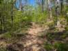 pxl_20250412_155900589_small.jpg