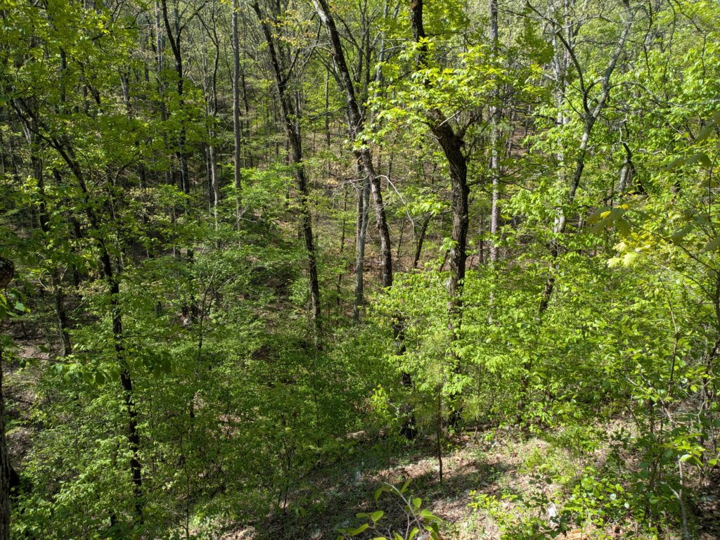 pxl_20250412_160051352.jpg