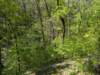 pxl_20250412_160051352_small.jpg
