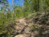 pxl_20250412_160054549_small.jpg