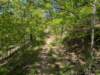 pxl_20250412_160159780_small.jpg