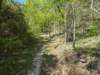 pxl_20250412_160442590_small.jpg