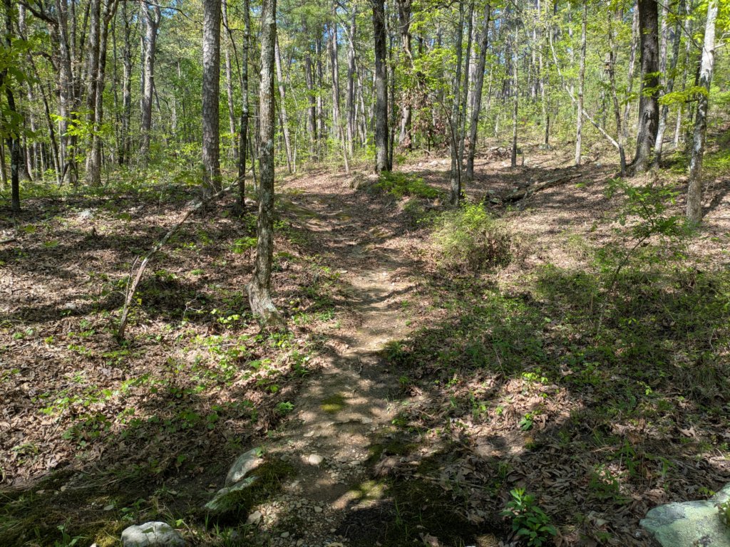 pxl_20250412_160753622.jpg