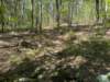 pxl_20250412_160753622_small.jpg