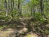 pxl_20250412_160953041_small.jpg