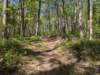 pxl_20250412_161030115_small.jpg