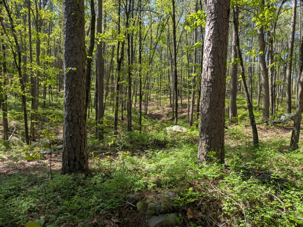pxl_20250412_161043020.jpg