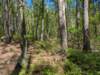 pxl_20250412_161049035_small.jpg