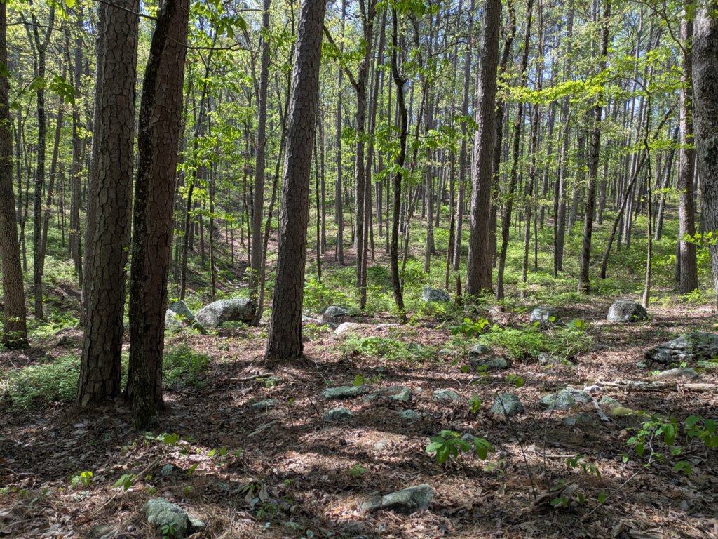 pxl_20250412_161120245.jpg