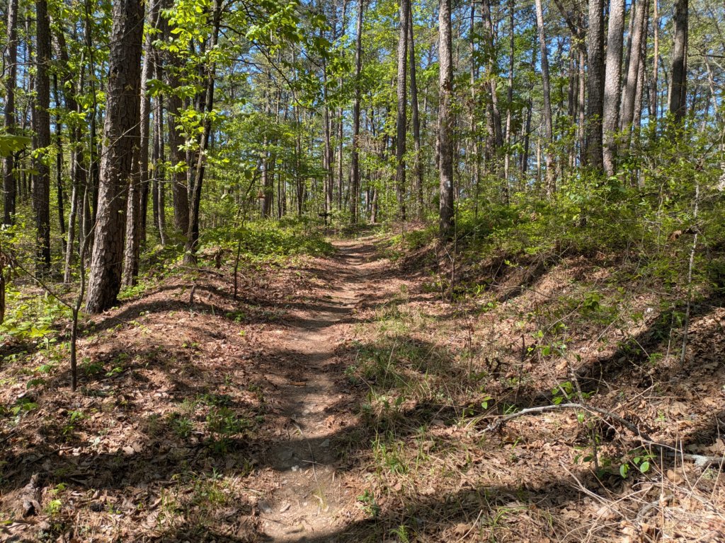 pxl_20250412_161221518.jpg