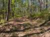 pxl_20250412_161221518_small.jpg