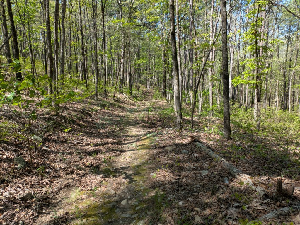 pxl_20250412_161514469.jpg