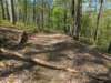 pxl_20250412_161829357_small.jpg