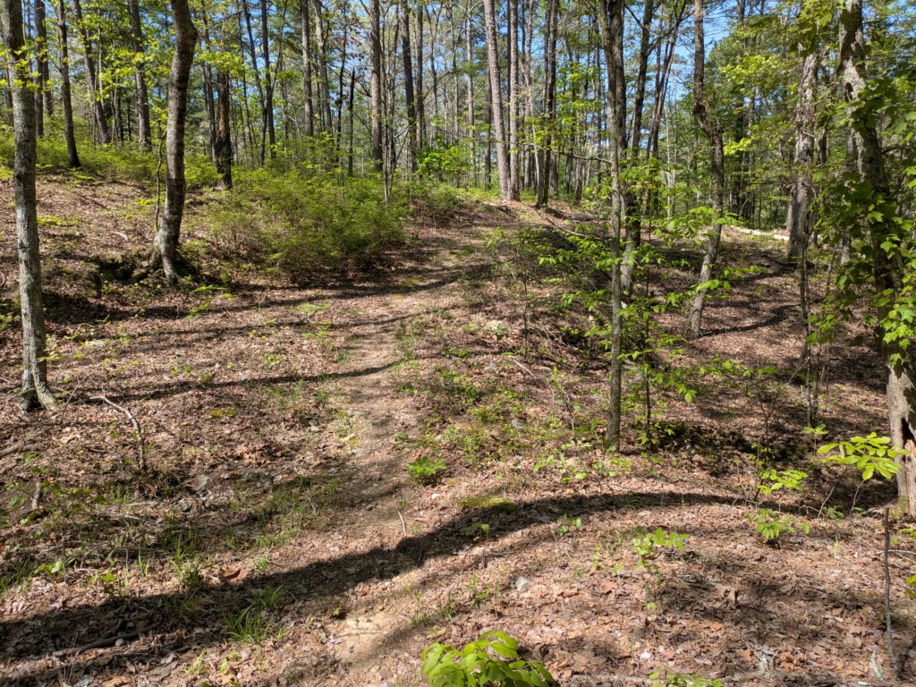 pxl_20250412_161932205.jpg