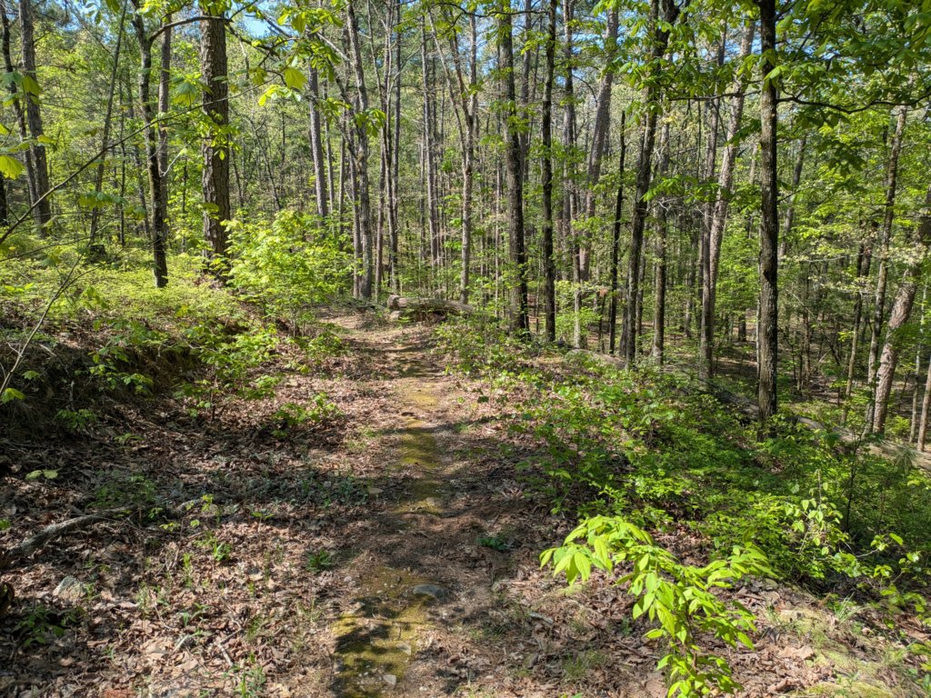 pxl_20250412_162051506.jpg