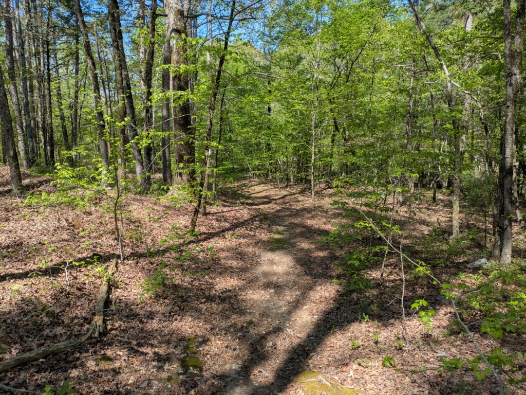 pxl_20250412_162535835.jpg