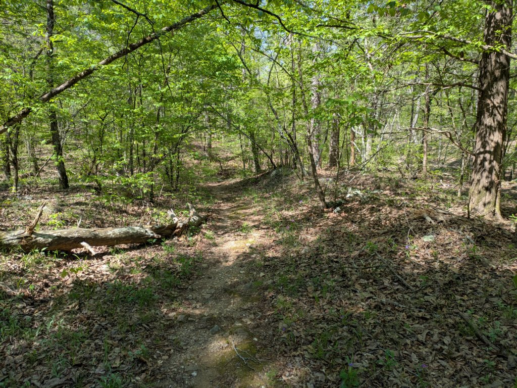 pxl_20250412_162624375.jpg
