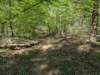pxl_20250412_162624375_small.jpg