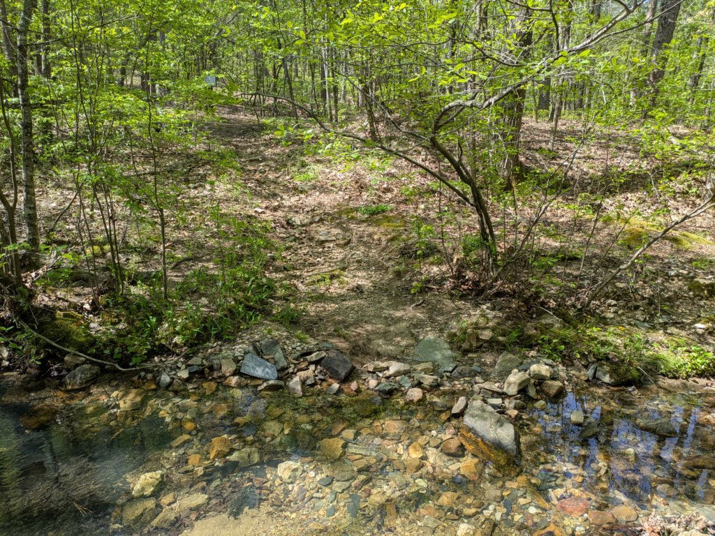 pxl_20250412_162656430.jpg