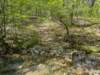 pxl_20250412_162656430_small.jpg