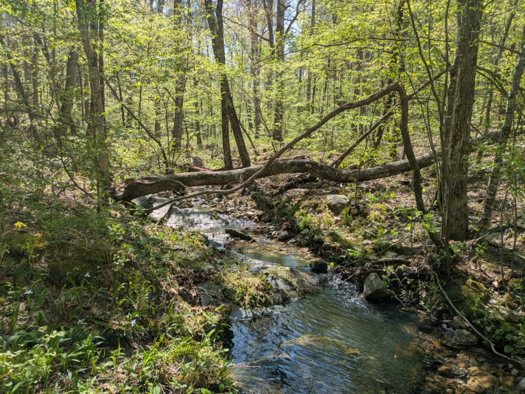 pxl_20250412_162702210.jpg