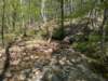 pxl_20250412_162733588_small.jpg