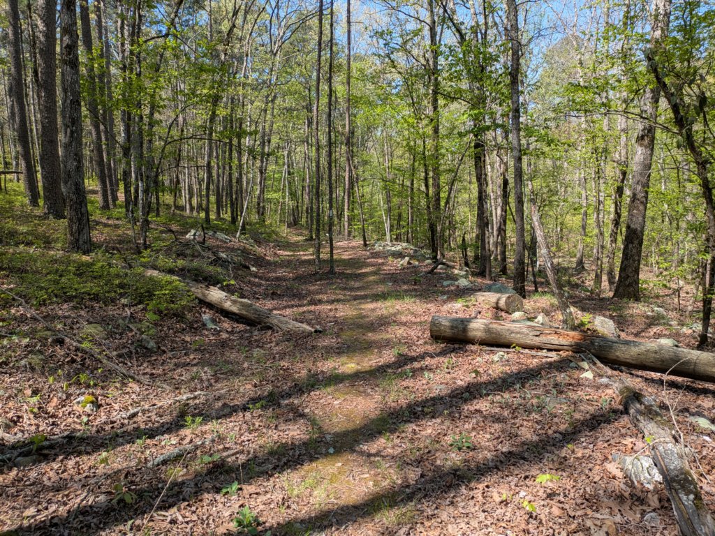 pxl_20250412_162922604.jpg