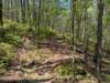 pxl_20250412_163046090_small.jpg