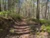 pxl_20250412_163125215_small.jpg