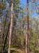 pxl_20250412_163229315_small.jpg
