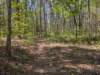 pxl_20250412_163548309_small.jpg