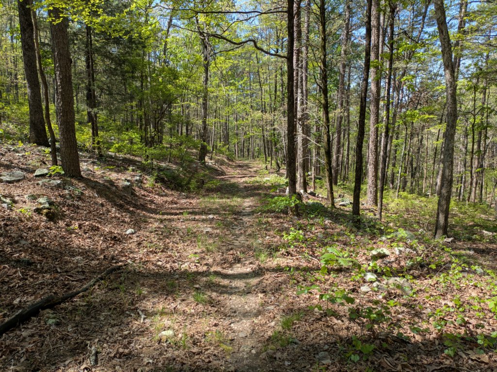 pxl_20250412_163744567.jpg