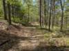 pxl_20250412_163744567_small.jpg