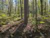 pxl_20250412_163927356_small.jpg
