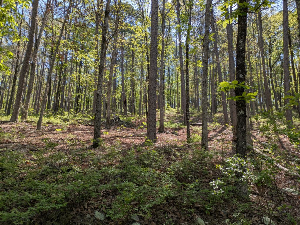 pxl_20250412_164137294.jpg