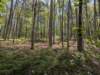 pxl_20250412_164137294_small.jpg